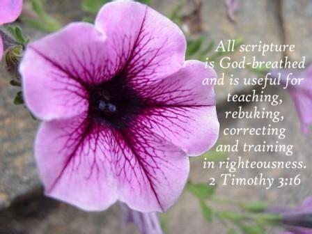 Now viewing scripture range from the book of 2 timothy chapter 3:16 through chapter 3:17. Nadia...Experience.Enjoy.Evolve: God's Allowance: Study Time