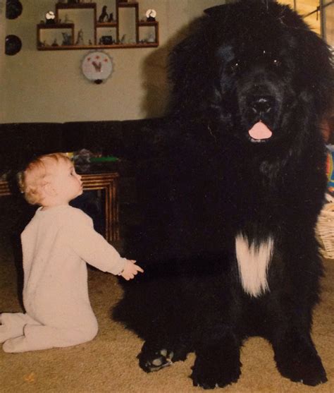 22 Little Kids And Their Big Dogs Bored Panda