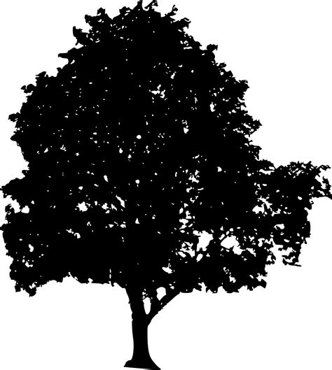 Free download pine tree png tree silhouette clipart 328877. 45 Tree Silhouettes PNG Transparent Background | OnlyGFX.com