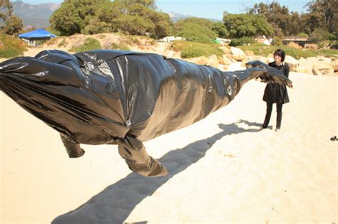 whale made from inflated garbage bags neatorama