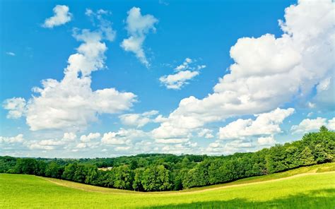 Trees Grass Blue Sky White Clouds Summer Wallpaper Nature And