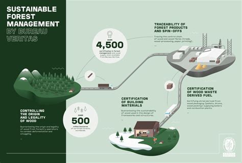 Sustainable Forest Management By Bureau Veritas Bureau Veritas