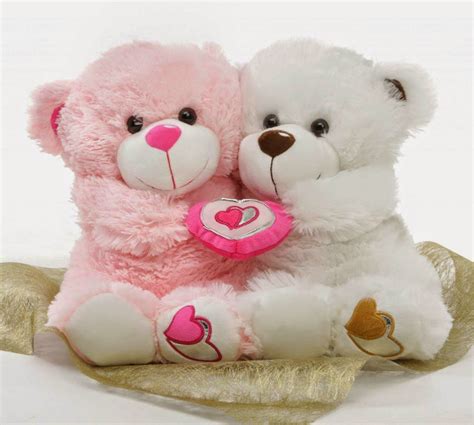 Cute Teddy Bear Pictures We Need Fun