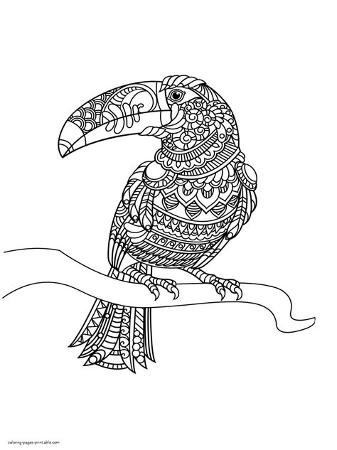 610 Printable Bird Coloring Pages For Adults Images And Pictures In Hd Hot Coloring Pages