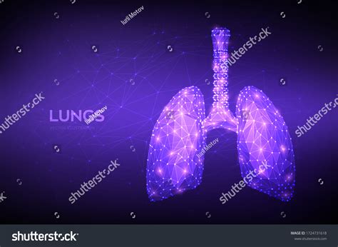 lungs low polygonal human respiratory system stock vector royalty free 1724731618 shutterstock