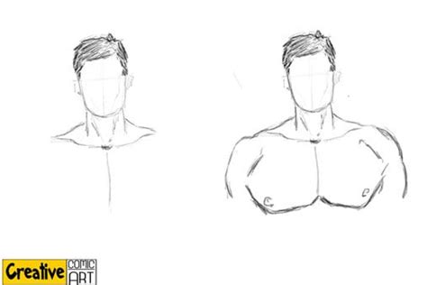 10 Best For Collarbone Female Chest Drawing The Campbells Possibilities