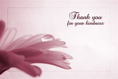 Thank You For Your Kindness Card By Tracy Friesen Redbubble