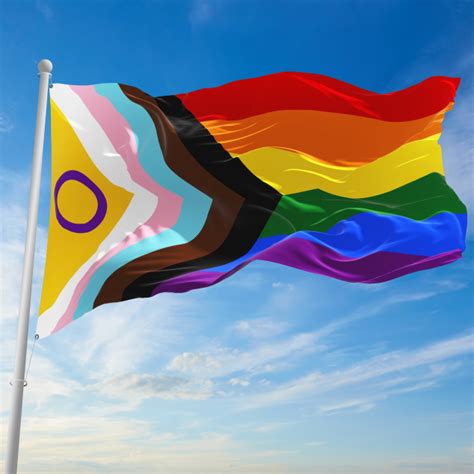 Intersekse Inclusieve Progress Pride vlag XL Çavaria Webshop