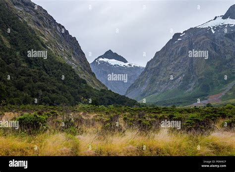 Landscape Around Monkey Creek Milford Sound New Zealand Stock Photo