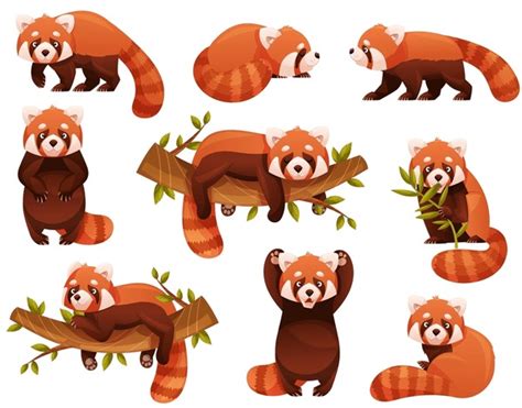 Brown Panda Over 4721 Royalty Free Licensable Stock Vectors And Vector Art Shutterstock