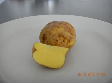 Papa Amarilla Peruvian Cuisine Potatoes Vegetables Food Yellow