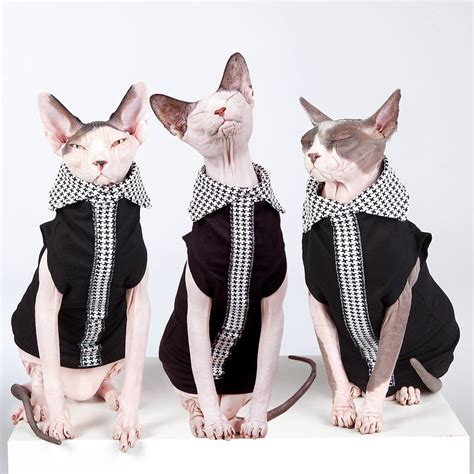 See more ideas about sphynx cat clothes, sphynx cat, cat clothes. Sphynx Cat Shirts • EXECUTIVE (Limited Edition) • Sphynx ...