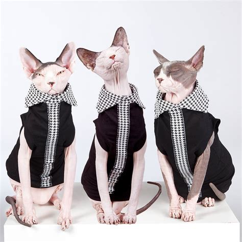 Sphynx Cat Shirts • EXECUTIVE (Limited Edition) • Sphynx ...