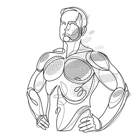 Athletic Man Torso Vector Linear Illustration Male Beauty With Perfect