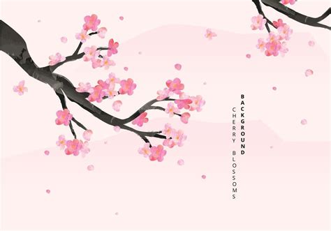 Cherry Blossoms Background Illustration I 2020