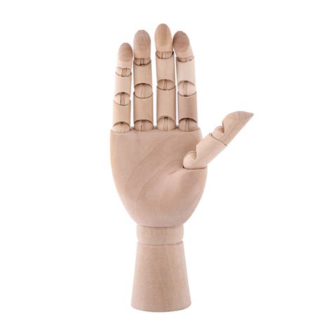 Buy Wooden Right Hand Model Articulated Jointed Palm
