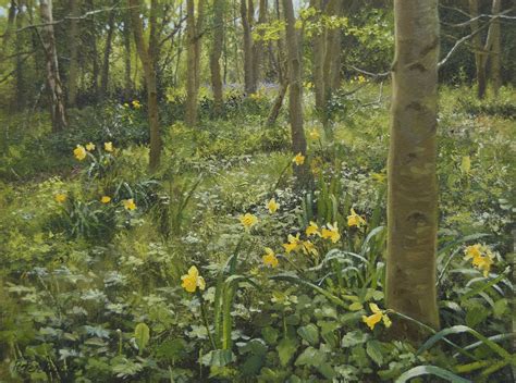 Daffodil Wood At Menton Daffodils Bulb Flowers Gallery Website
