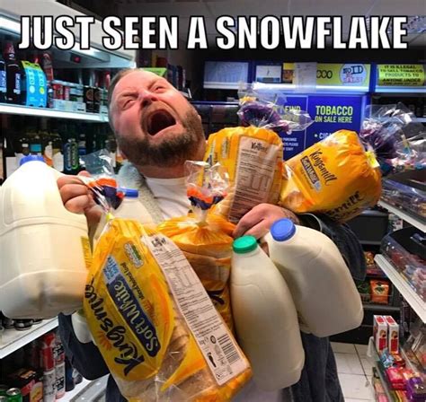 Saw I Just Saw A Snowflake Snow Meme Snow Humor Troll Winter Humor Winter Qoutes Winter