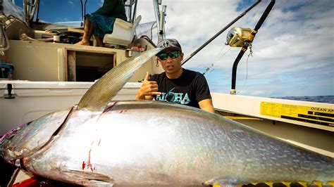 Ahi Season 2020 Session 2 Ahi Fishing Yellowfin Tuna Big Game