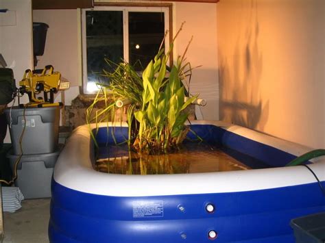 A wide variety of diy pond options are available to you, such as design style, material, and local service location. 13 best indoor pond ideas images on Pinterest | Indoor pond, Indoor water garden and Ponds