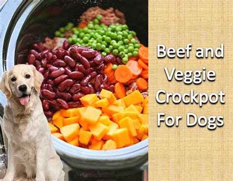Another awesome crockpot recipe, this time just using some simple ingredients such as: Beef and Veggie Crockpot Recipe for Dogs | Dog food ...