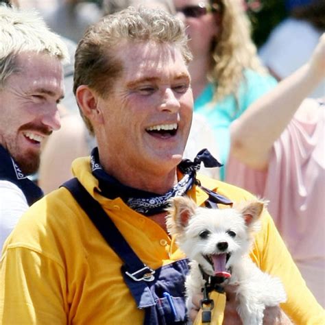 David Hasselhoff Is Insecure The Blemish