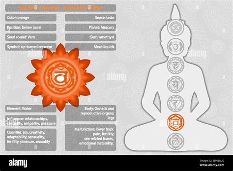 Chakras Símbolos Con Descripción De Significados Infográfico Imagen Vector De Stock Alamy