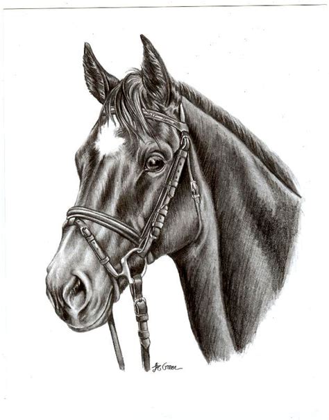 A black and white pen & ink adds a point of interest and you will always have your friend there to remind you. Graphite, charcoal and pen/ink drawings - Custom equine ...