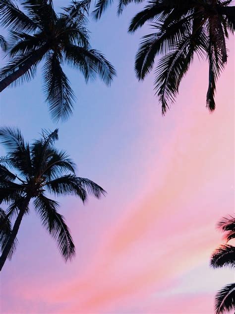 Beautiful Pink Sunset Palm Trees Drawstring Bag By Newburyboutique