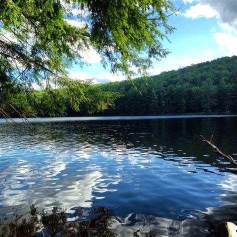 We did not find results for: Gilbert Lake State Park | State parks ny, State parks, New ...