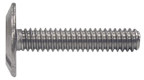 Top 10 Stainless Steel Screws For Hurricane Shutters Home Previews