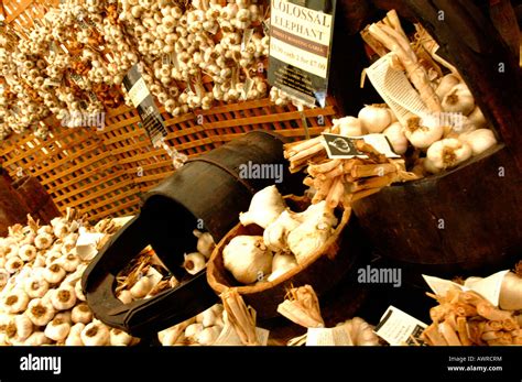Fresh Garlic Bulbs And Cloves On For Sale At A Country Fayre Fete