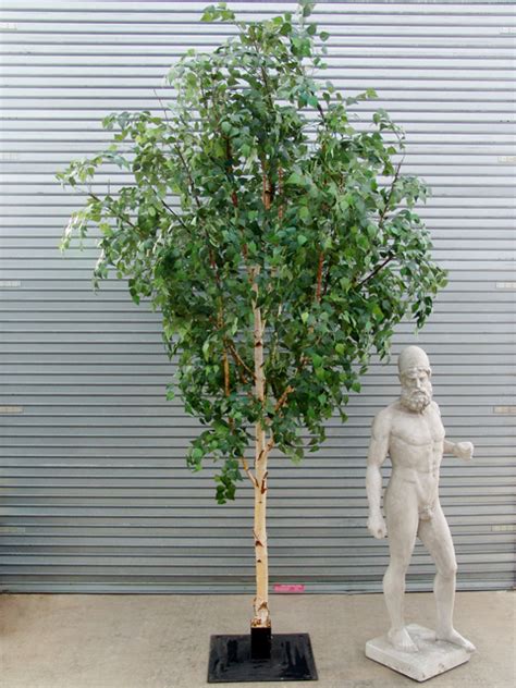 Palmbrokers Catalogue Artificial Trees For Hire Artificial Silver