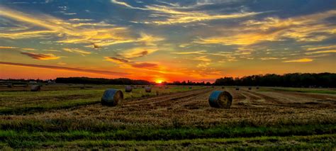 Sunset over the Horizon on the farmland image - Free stock photo ...