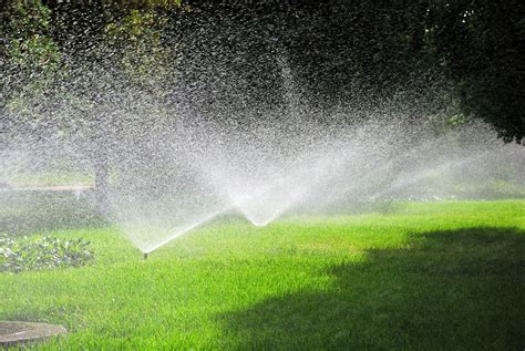 Summer Lawn Care Watering Mowing Etc Hirerush Blog