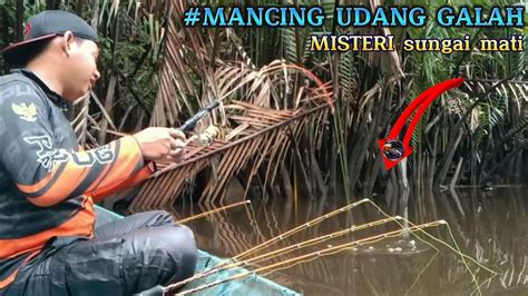 Mancing Udang Galah Di Sungai Jarang Terjamah Pemancing Youtube