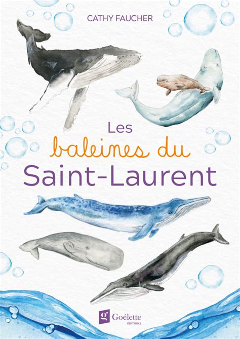 Les baleines du Saint Laurent Goélette