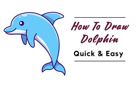 How To Draw A Dolphin Diybunker