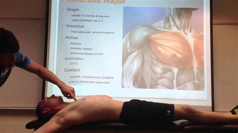 Pectoralis Major Palpation Manual Therapy And Stretch Youtube