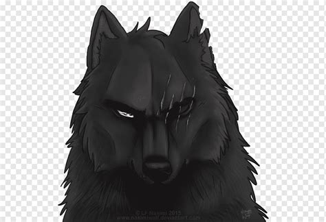 Black Wolf Coyote Pack Drawing Black Wolf Mammal Head Fictional
