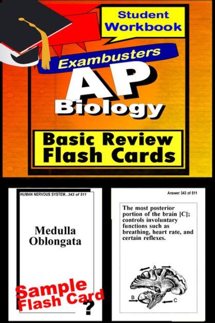 These four big ideas encompass the core principles, theories, and scientific processes that guide the study of life. AP Biology Study Guide--AP Science Flashcards--AP Prep ...