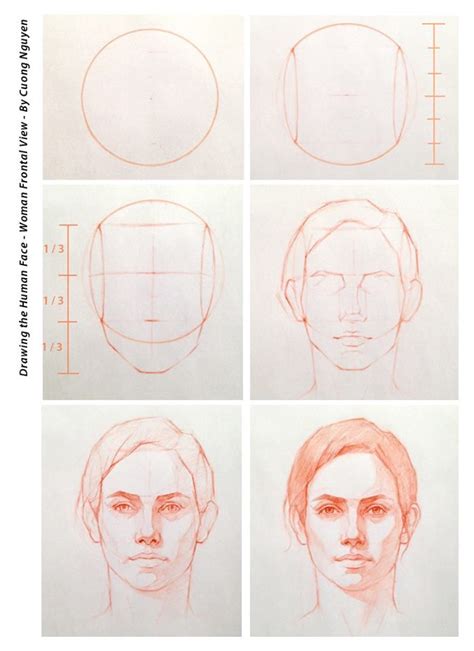 This post is part of the series: 11221349_10155919106615587_5710468806276174748_n.jpg (698×960) | Drawing tutorial face, Portrait ...