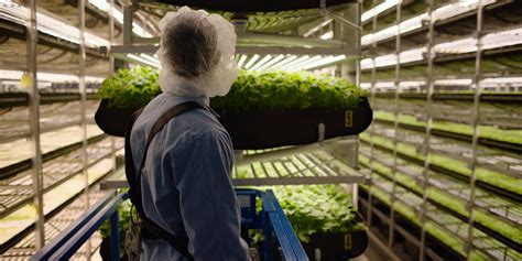 Aerofarms And Dell Technologies Work Together To Improve Agriculture