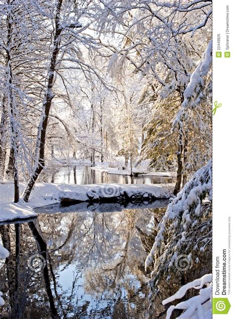 Winter Scene Royalty Free Stock Image Image 22449826