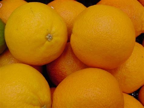 Orange Pictures, Free Orange Picture, #1911