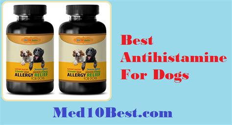 Best Antihistamine For Dogs 2021 Reviews And Buyers Guide Top 10
