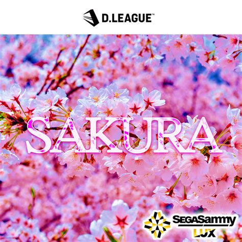 Sakura Single By Sega Sammy Lux Spotify