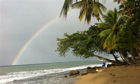 The 15 Best Things To Do In Rincon 2021 With Photos Tripadvisor