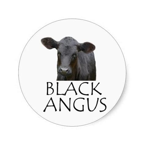 Black Angus Cow Classic Round Sticker In 2020 Cow Cow
