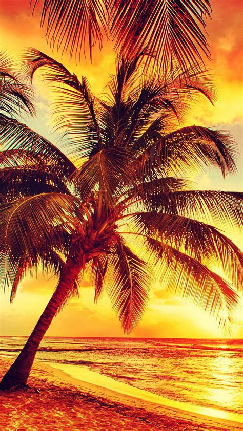 1920x1080px 1080p Free Download Sunset Beach Nature Palms Sand